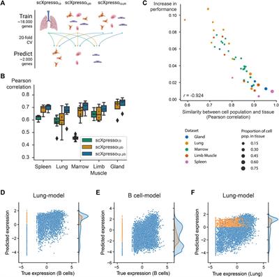 Predicting cell population-specific gene expression from genomic sequence